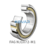 FAG FAG NJ1072-M1 Cylindrical roller bearing