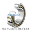FAG FAG NU332-E-M1-F1-C4 Cylindrical roller bearing