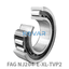 FAG FAG NJ204-E-XL-TVP2 Cylindrical roller bearing