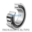FAG FAG NJ2205-E-XL-TVP2 Cylindrical roller bearing