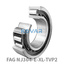 FAG FAG NJ304-E-XL-TVP2 Cylindrical roller bearing