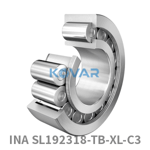 INA INA SL192318-TB-XL-C3 Cylindrical roller bearing