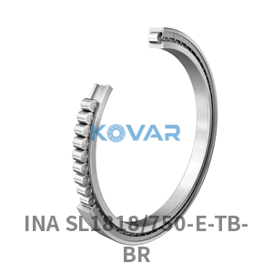 INA INA SL1818/750-E-TB-BR Cylindrical roller bearing