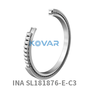 INA INA SL181876-E-C3 Cylindrical roller bearing