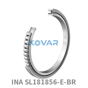 INA INA SL181856-E-BR Cylindrical roller bearing