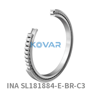 INA INA SL181884-E-BR-C3 Cylindrical roller bearing
