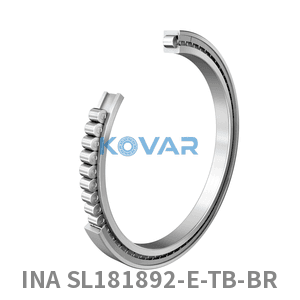 INA INA SL181892-E-TB-BR Cylindrical roller bearing