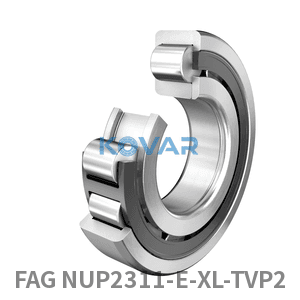 FAG FAG NUP2311-E-XL-TVP2 Cylindrical roller bearing
