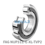 FAG FAG NUP311-E-XL-TVP2 Cylindrical roller bearing