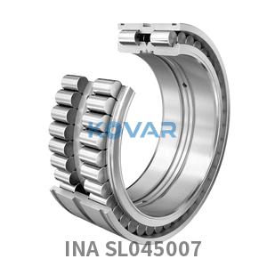 INA INA SL045007 Cylindrical roller bearing