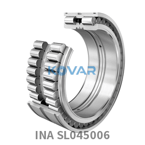 INA INA SL045006 Cylindrical roller bearing