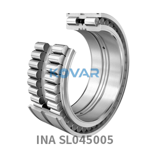 INA INA SL045005 Cylindrical roller bearing