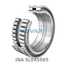 INA INA SL045005 Cylindrical roller bearing