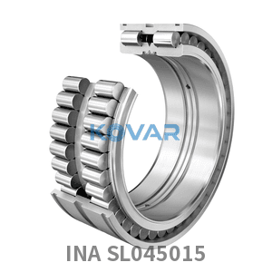 INA INA SL045015 Cylindrical roller bearing