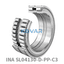 INA INA SL04130-D-PP-C3 Cylindrical roller bearing