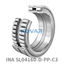 INA INA SL04160-D-PP-C3 Cylindrical roller bearing