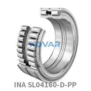 INA INA SL04160-D-PP Cylindrical roller bearing