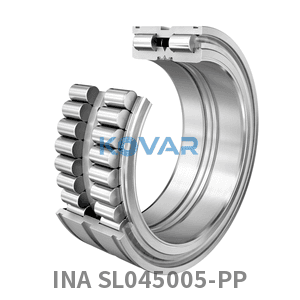 INA INA SL045005-PP Cylindrical roller bearing
