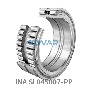 INA INA SL045007-PP Cylindrical roller bearing