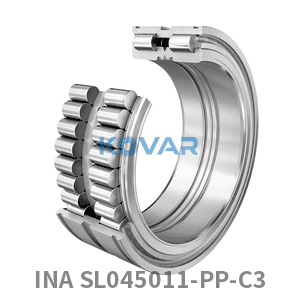 INA INA SL045011-PP-C3 Cylindrical roller bearing