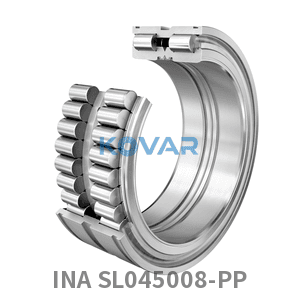 INA INA SL045008-PP Cylindrical roller bearing