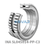 INA INA SL045014-PP-C3 Cylindrical roller bearing