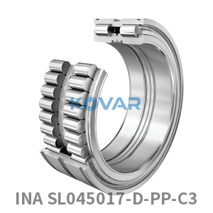 INA INA SL045017-D-PP-C3 Cylindrical roller bearing