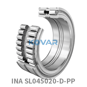 INA INA SL045020-D-PP Cylindrical roller bearing
