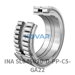 INA INA SL045020-D-PP-C5-GA22 Cylindrical roller bearing