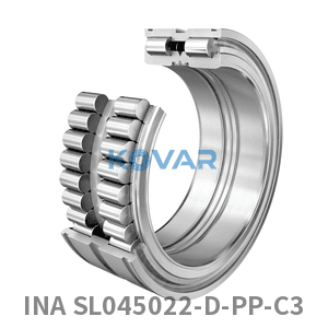 INA INA SL045022-D-PP-C3 Cylindrical roller bearing