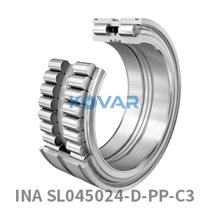 INA INA SL045024-D-PP-C3 Cylindrical roller bearing