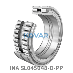 INA INA SL045048-D-PP Cylindrical roller bearing