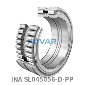 INA INA SL045056-D-PP Cylindrical roller bearing