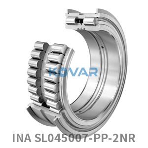 INA INA SL045007-PP-2NR Cylindrical roller bearing