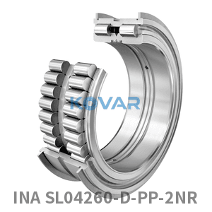 INA INA SL04260-D-PP-2NR Cylindrical roller bearing