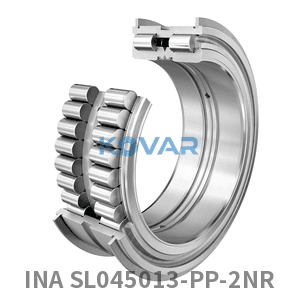 INA INA SL045013-PP-2NR Cylindrical roller bearing