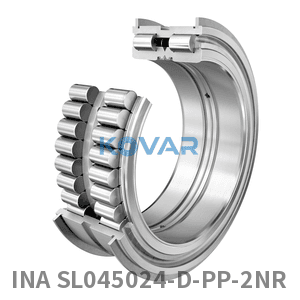INA INA SL045024-D-PP-2NR Cylindrical roller bearing