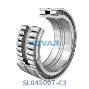 INA SL045007-C3 INA SL045007-C3 Cylindrical Roller Bearing