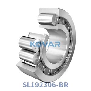 INA SL192306-BR INA SL192306-BR Cylindrical Roller Bearing