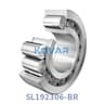 INA SL192306-BR INA SL192306-BR Cylindrical Roller Bearing