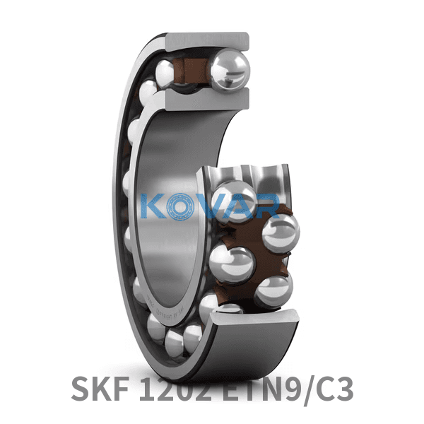 SKF SKF 1202 ETN9/C3 Self-aligning Ball Bearings