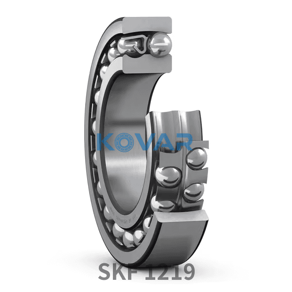 SKF SKF 1219