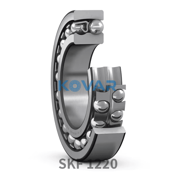 SKF SKF 1220