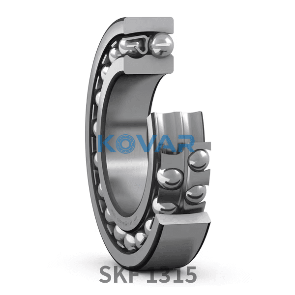 SKF SKF 1315
