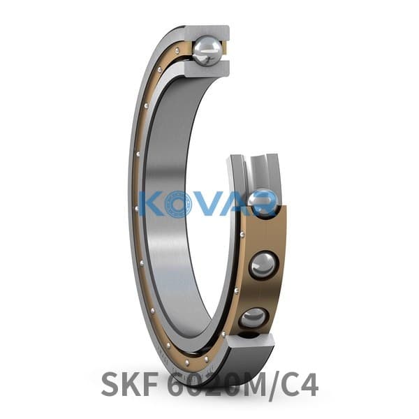 SKF SKF 6020M/C4