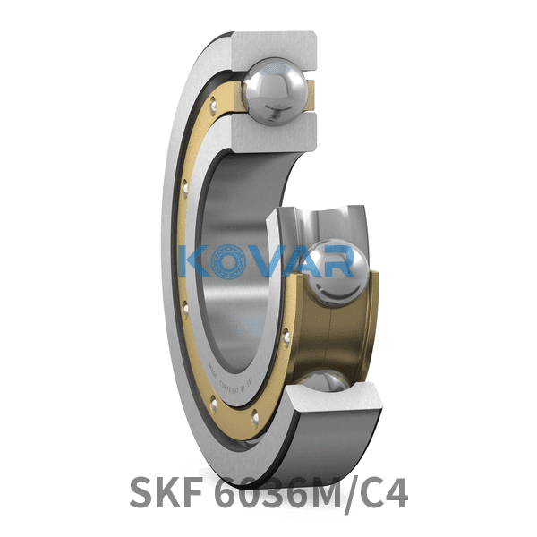 SKF SKF 6036M/C4