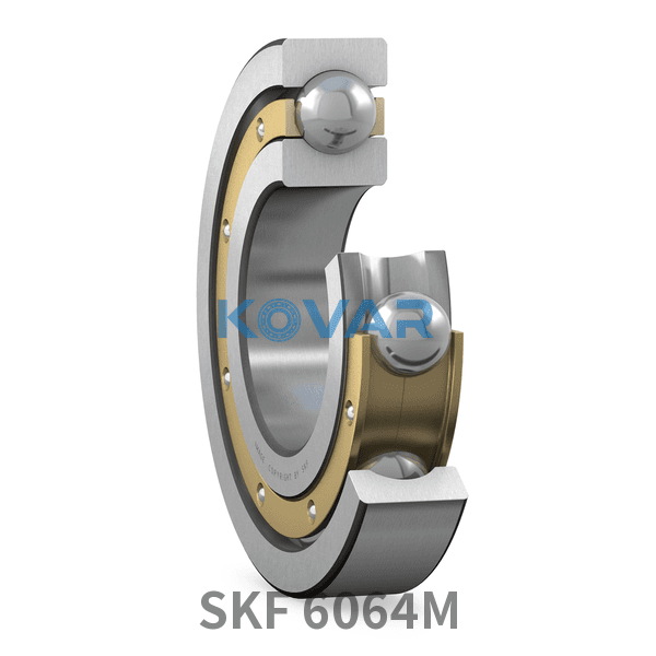 SKF SKF 6064M