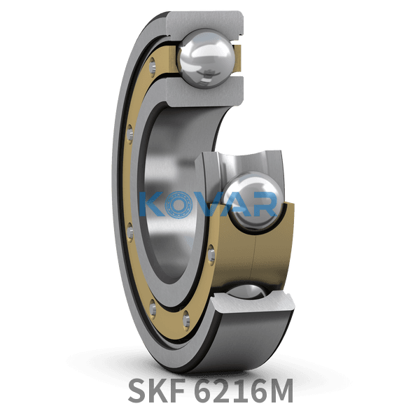 SKF SKF 6216M