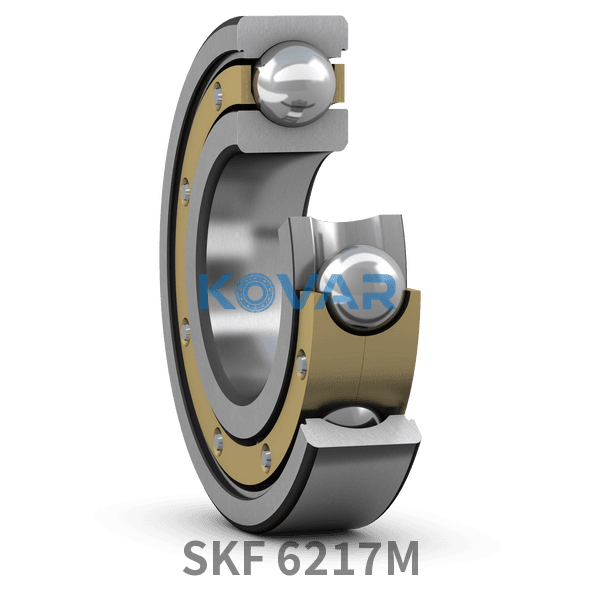 SKF SKF 6217M