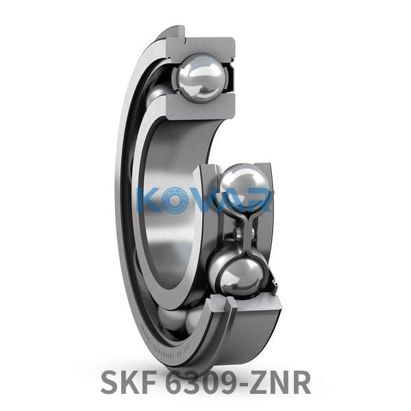 SKF SKF 6309-ZNR